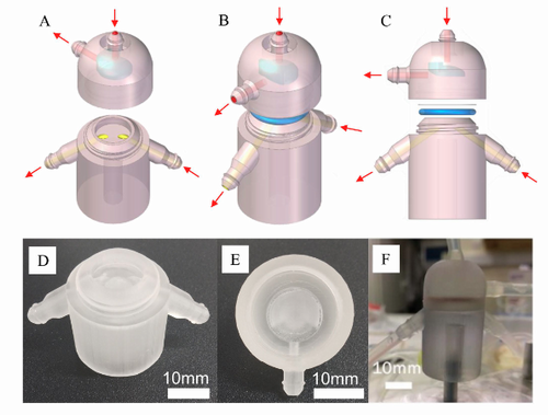 3D-Printed Microfluidic Bioreactor Incorporating Electro spun Scaffolds for Creating an Enhanced Kidney Epithelial Cell Microenvironment